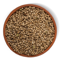 Spice Plate 5